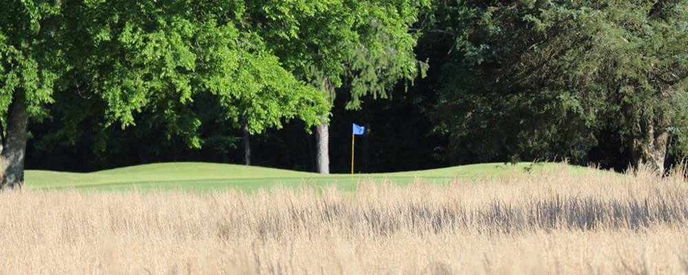 Gallery Smyrna Golf Course